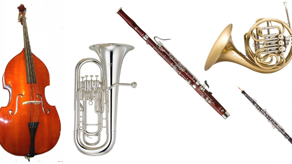 An image of a French horn, euphonium, clarinet, bassoon and a double bass