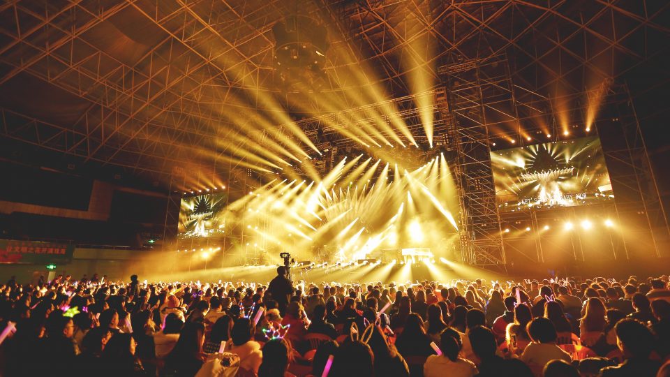 A massive group of people of different identities all watching a musical performance in an arena.