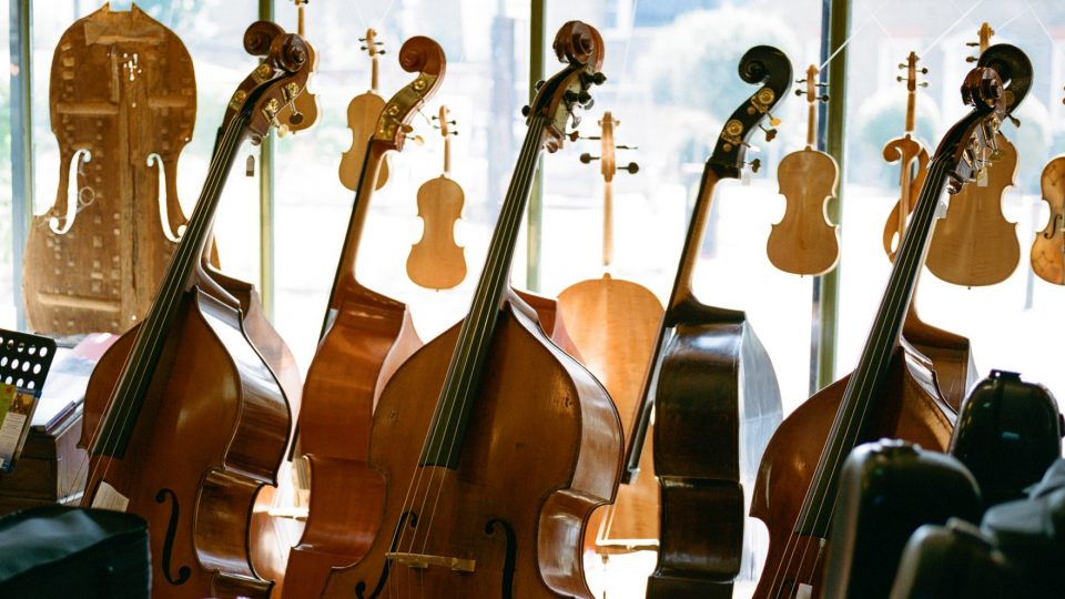 Some double basses in a shop window.